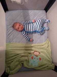 11850431_10153456507706830_365115111787000545_o