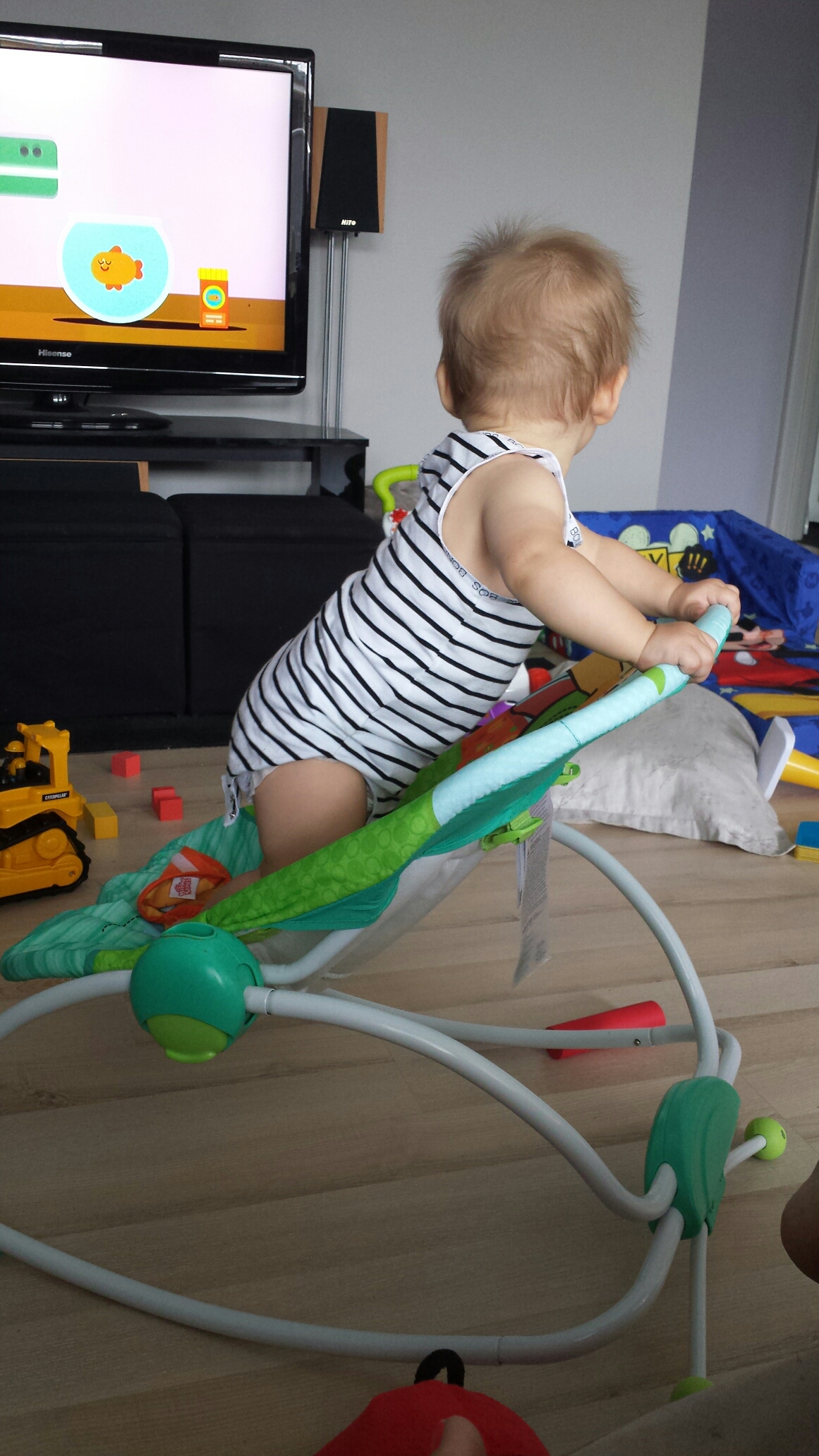 wp-1455666786786 image